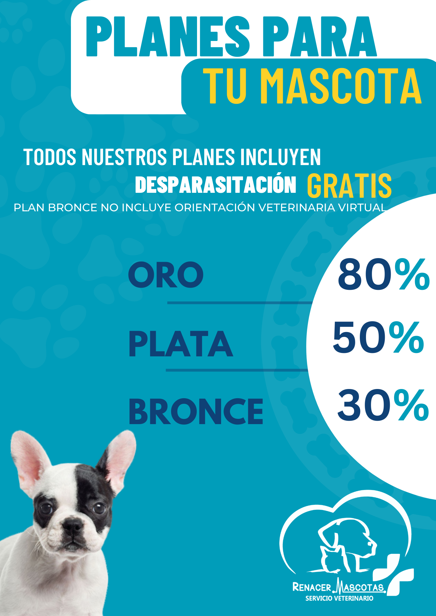 PLANES MASCOTAS (1)
