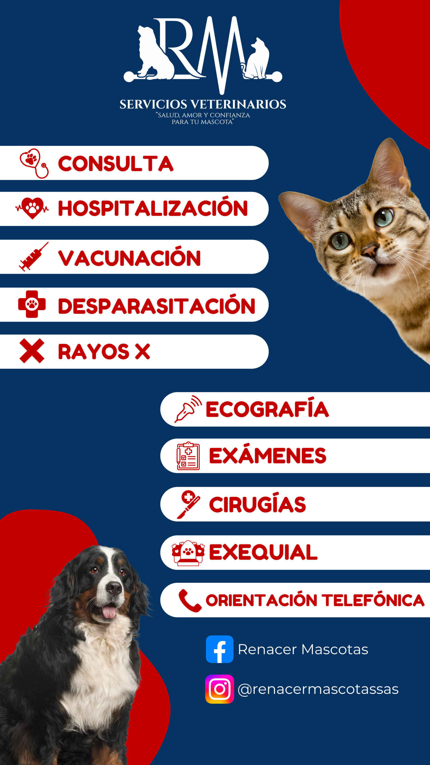 Post Renacer Mascotas (Tu historia)