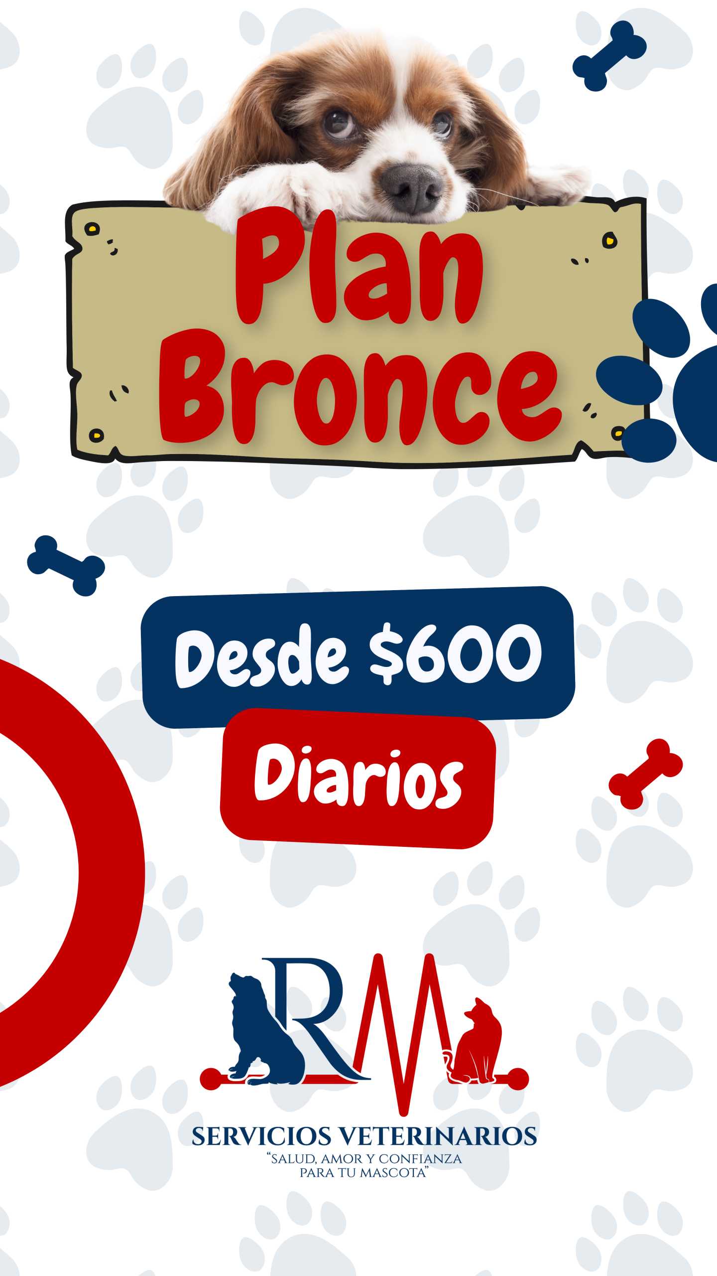 Reels Renacer Mascotas (2)