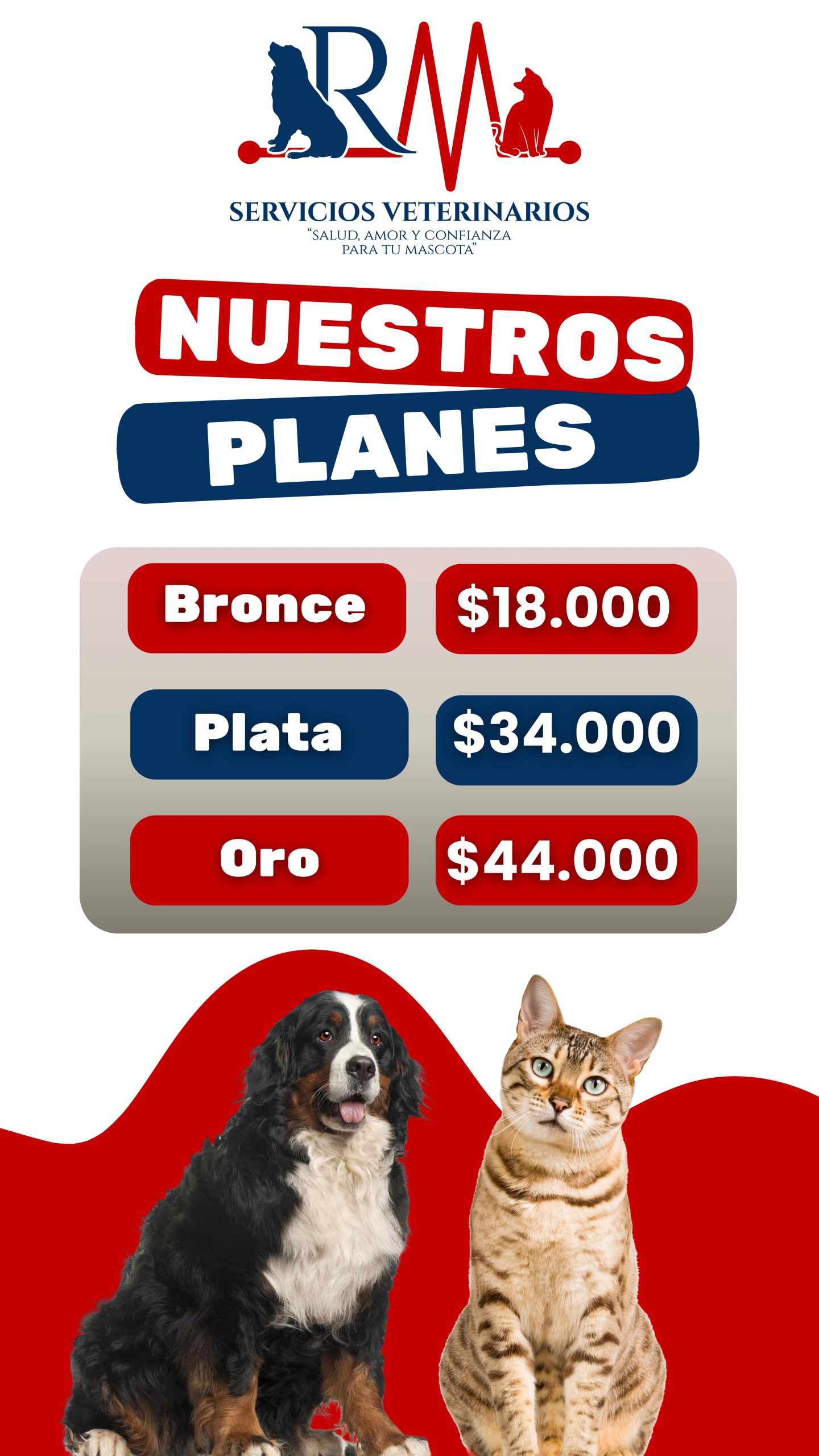 Reels Renacer Mascotas (4)